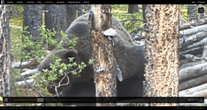 Screen Shot 2014-11-15 at 12.39.02 PM