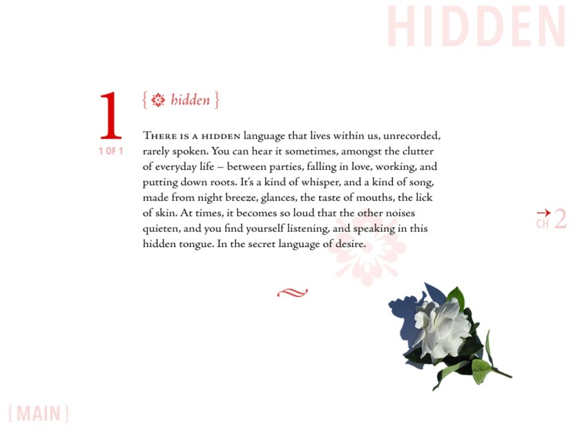 SecretLanguageTrimmed