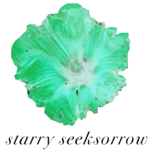 seeksorrow